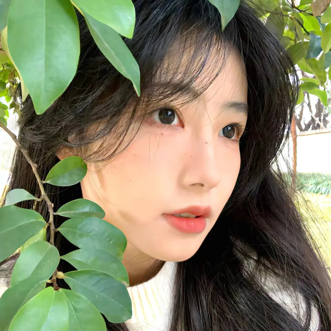 在杰克逊高地